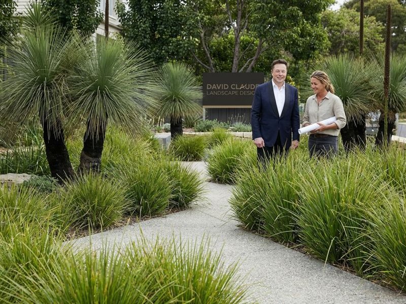 Modern native garden design