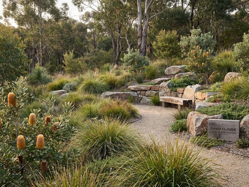 Native Australian garden in Research